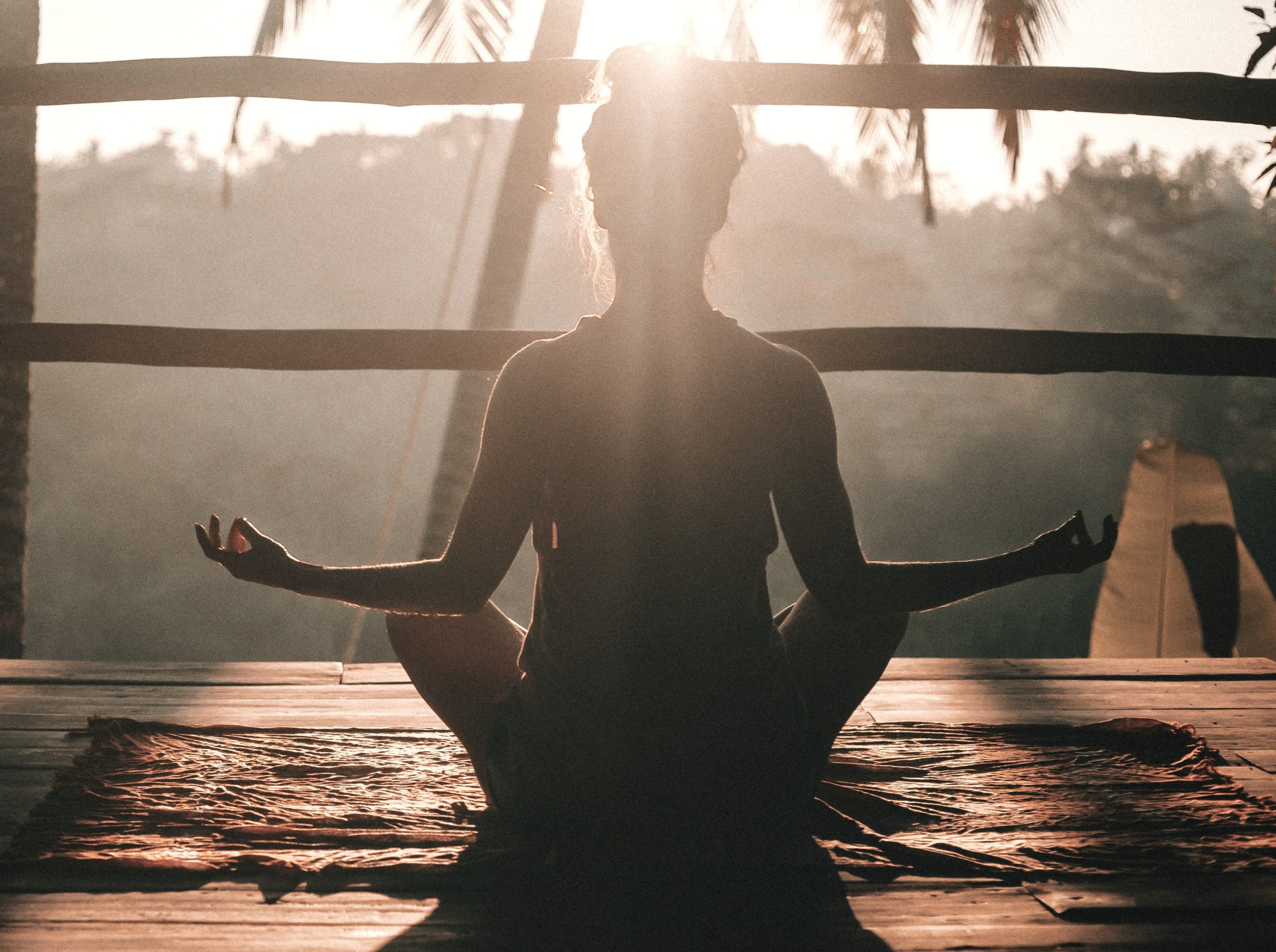 somatic healing in houston